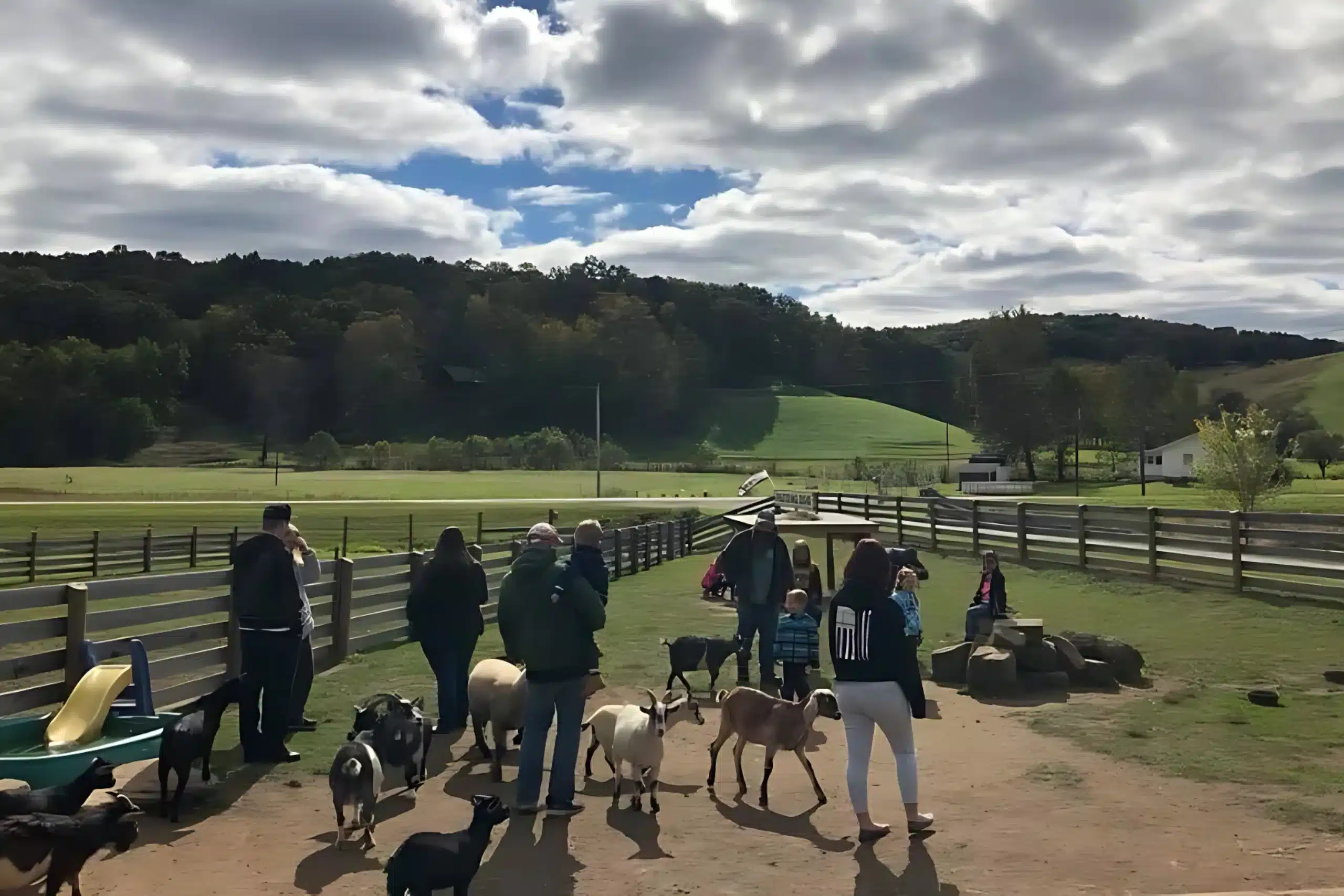 Fall day at the farm event fox's high rock farm