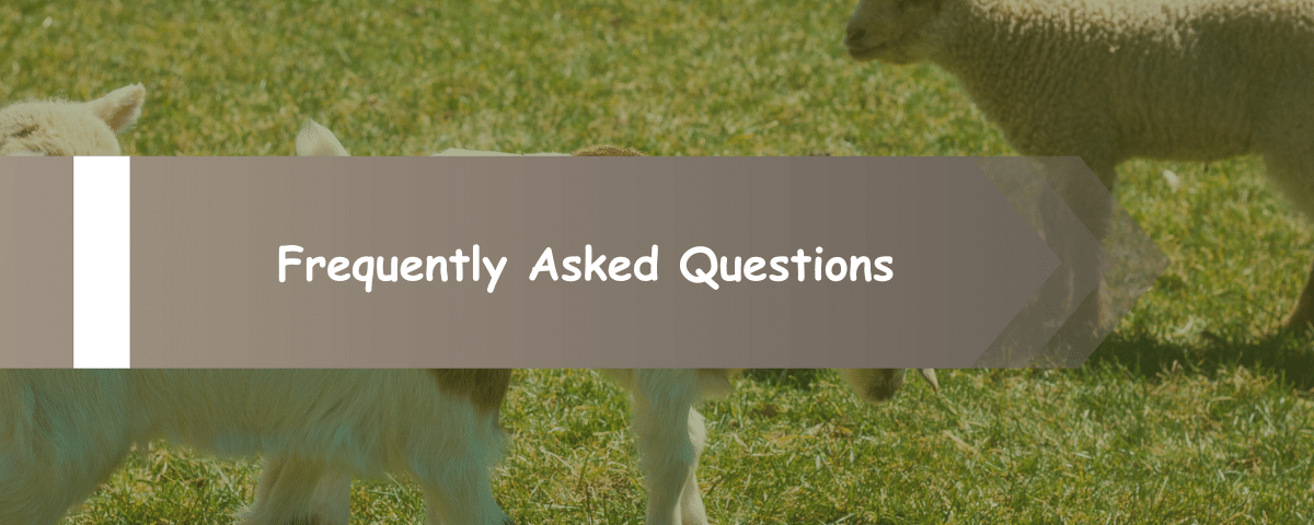 Frequently Asked Questions